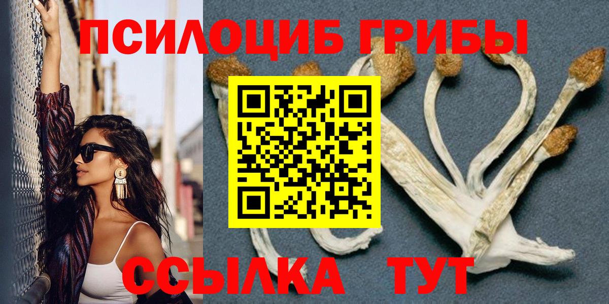 Псилоцибиновые грибы Psilocybine cubensis  Галлюциногенные грибы прущие грибы  Вход с VPN  Хасавюрт 