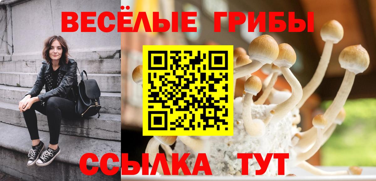 Галлюциногенные грибы Psilocybine cubensis Хасавюрт