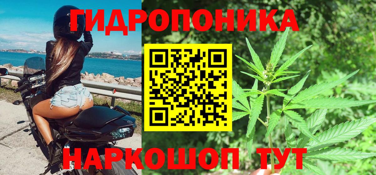 Шишки марихуана планчик  Вход с VPN  Хасавюрт  Бошки марихуана индика 
